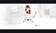 華椿