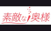 素敵な奥様(川崎ハレ系)